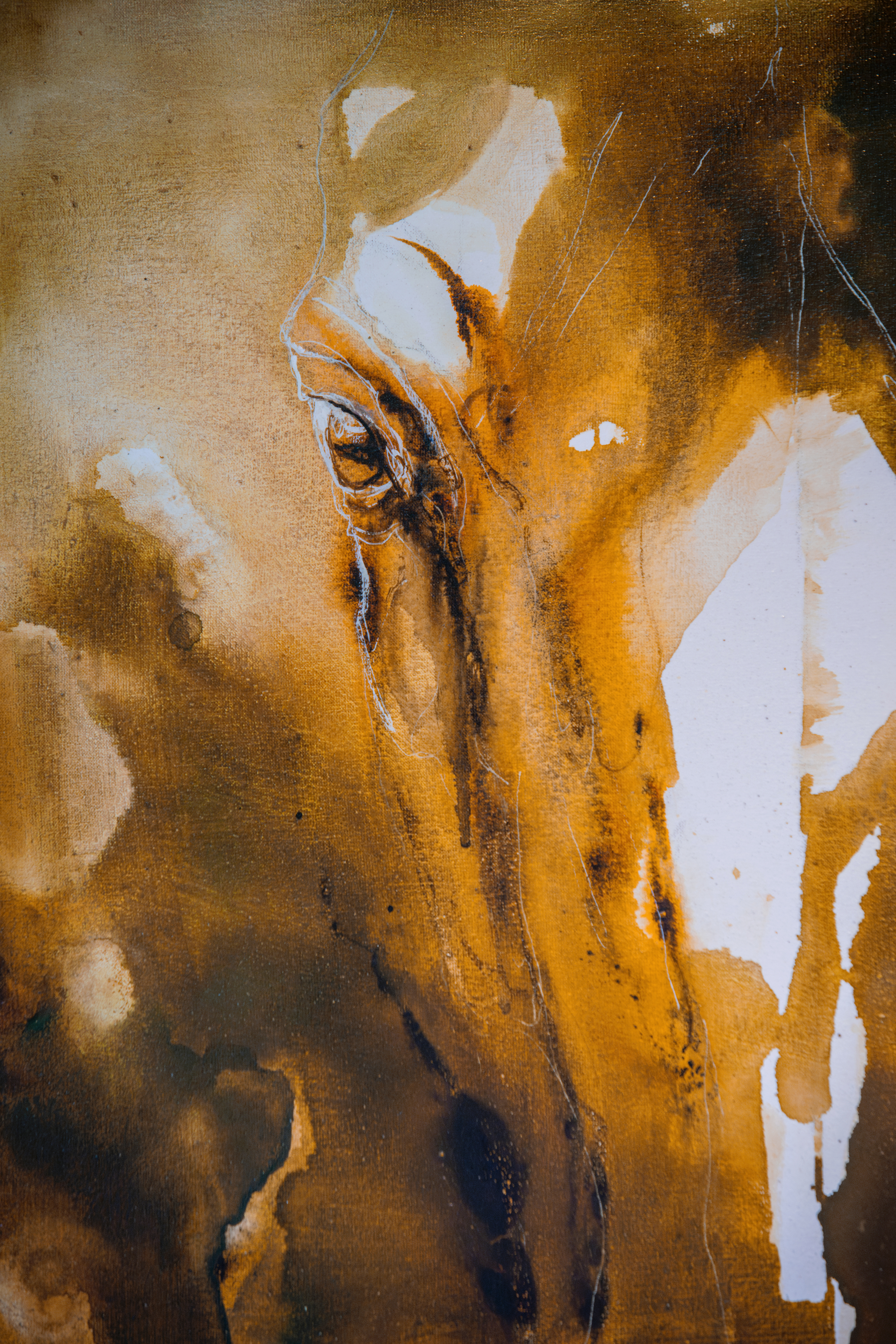 An abstract watercolour of a horse's head in warm ochre and brown tones, one eye catching the light