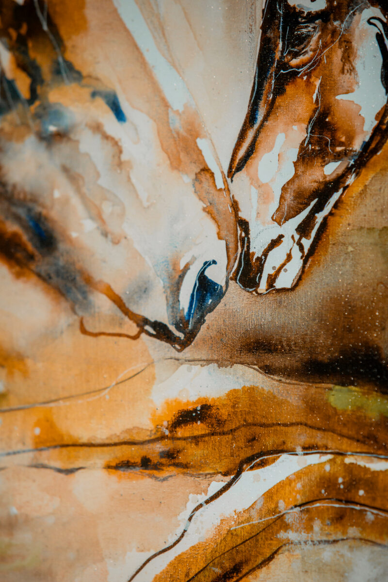 Detail of the mare and foal's noses meeting, the first quiet touch after birth