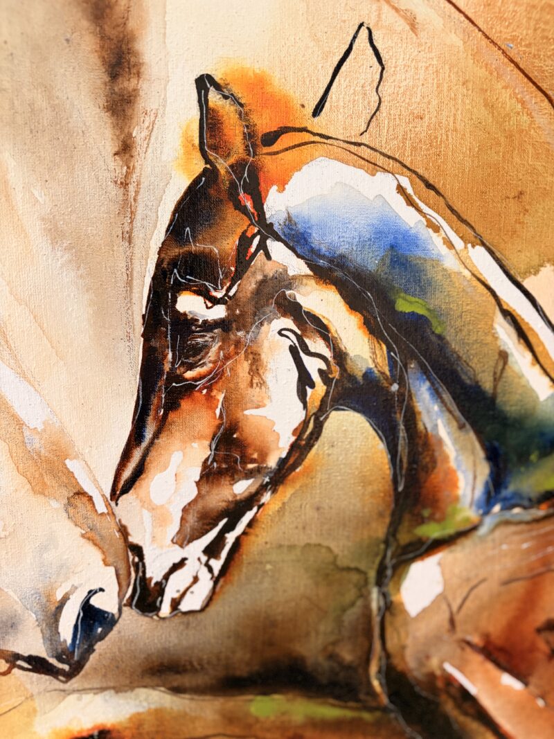 Detail of the foal's head and neck