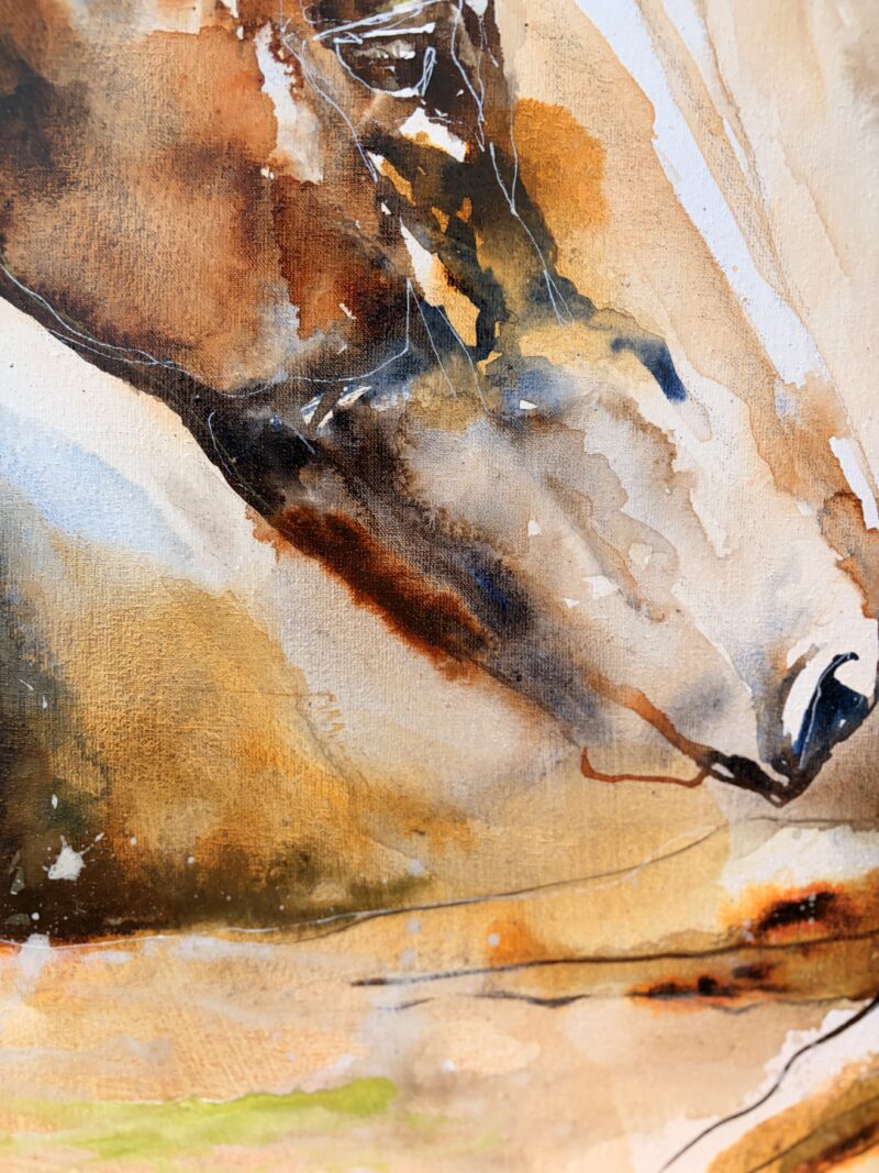 Close-up of the foal's head, black line work over warm and cool washes