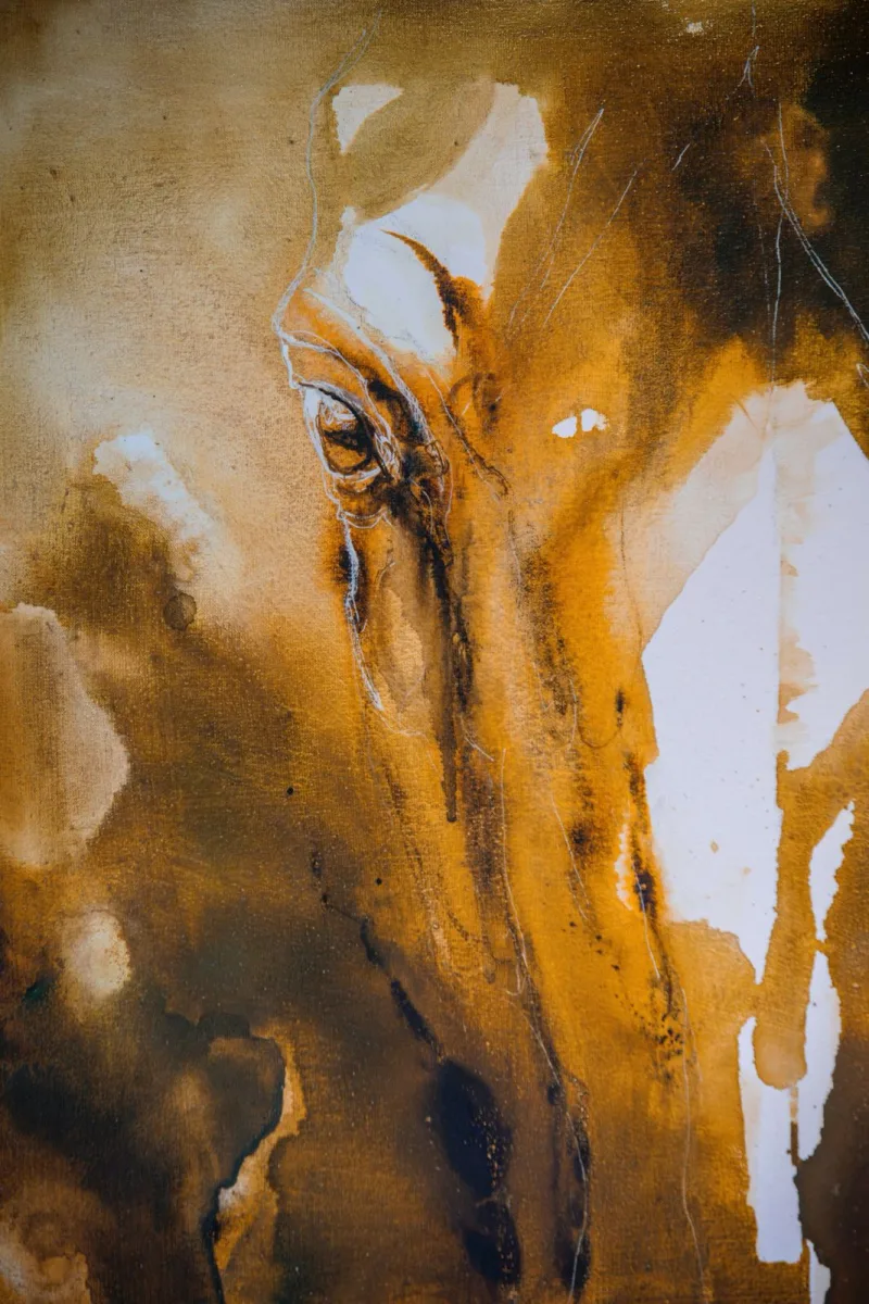 Detail van het oog van een paard in acryl-inkt, uit een verkochte Coalescence-studie
