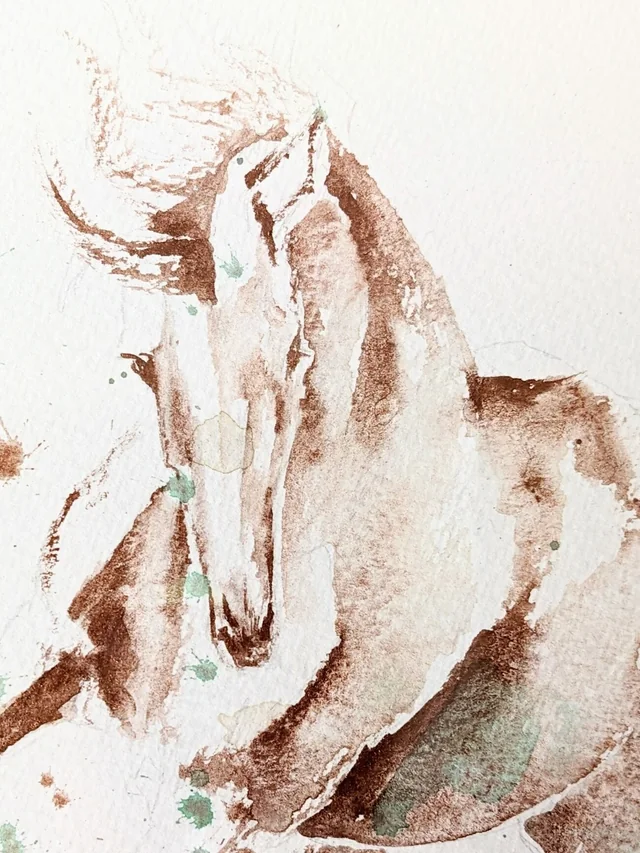 Equus et Avis