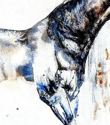 Close-up of the shoulder and foreleg: blue-black pigment worked wet into the paper, breaking to bare white at the edge of the leg