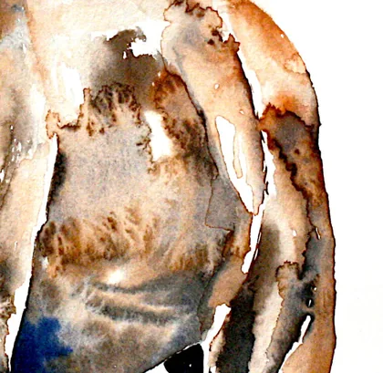 Detail of Noblesse: granulating umber and blue pigment settling into the paper across the horse's flank