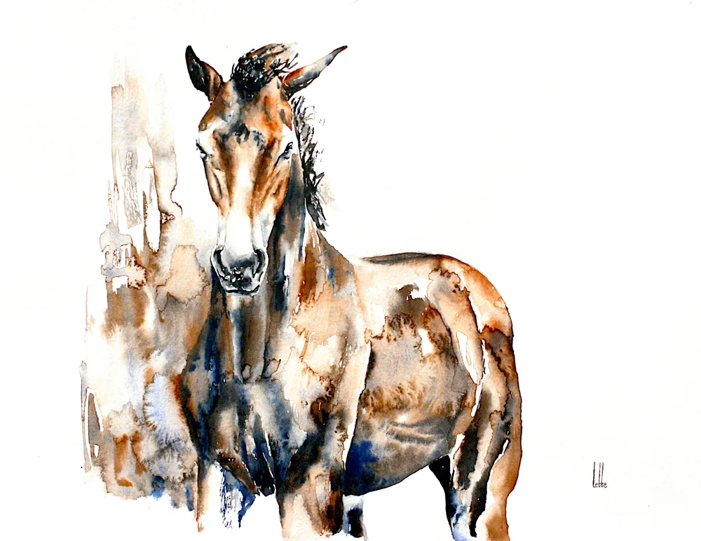 Noblesse: a bay horse standing square on, facing the viewer, painted in burnt umber, ochre and indigo watercolour on white paper