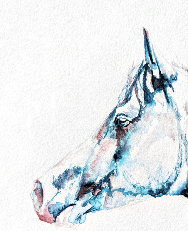 Detail of Winter: the horse's head, eye and muzzle in blue and rose watercolour on textured paper