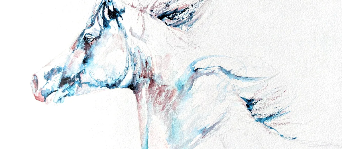 Winter in close crop: the horse's head and blown mane in cool watercolour washes on bare paper