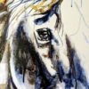 horse eye in watercolor
