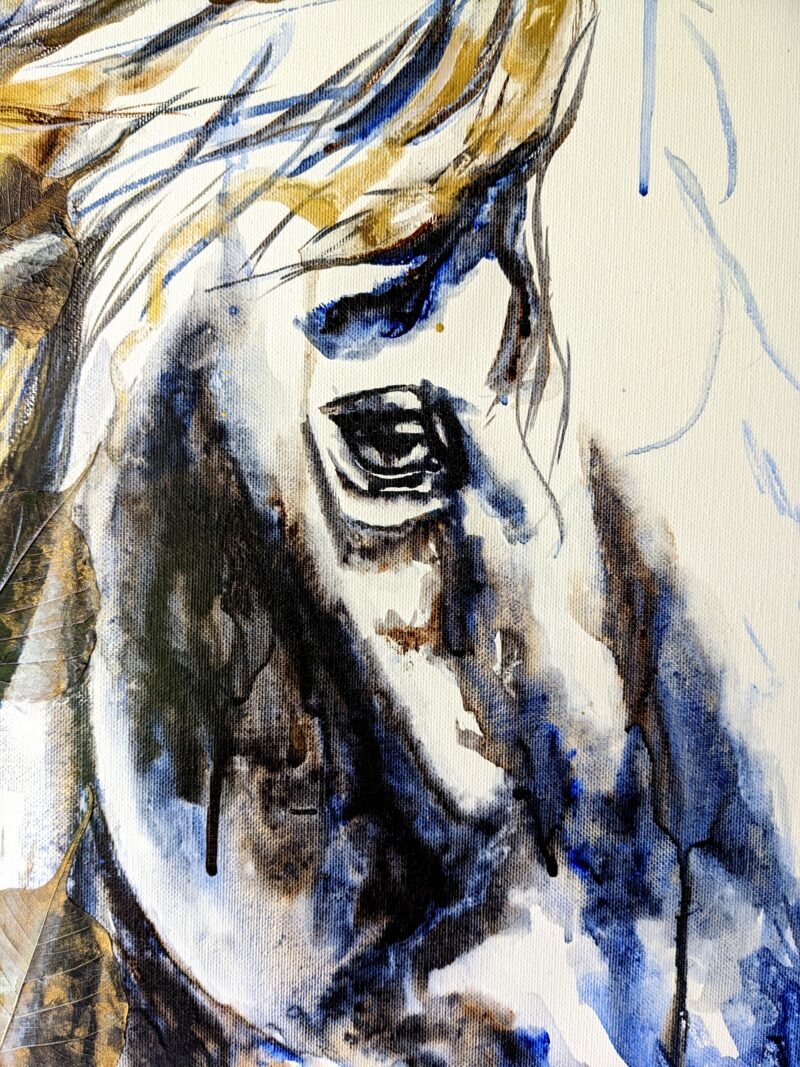 horse eye in watercolor