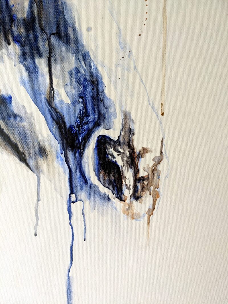 horse nose in watercolor