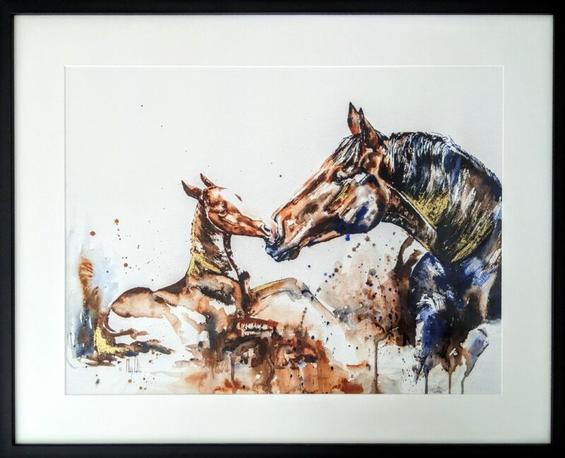 fine art print mother and foal framed