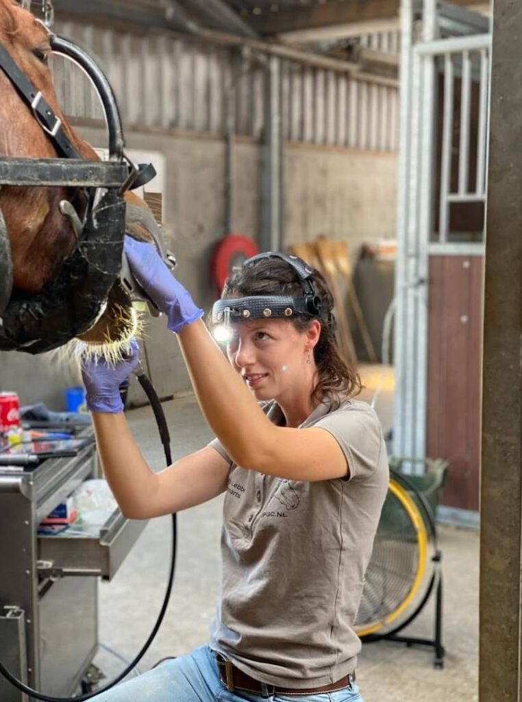 Marjo Lebbe as equine veterinarian at a client at work